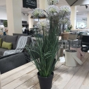 Декоративна рослина в горщику Allium grass 72cm