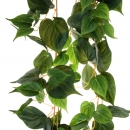 Ліана 130 cm 