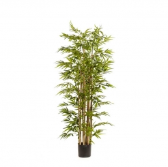 Декоративна рослина в горщику Bamboo deluxe 175cm