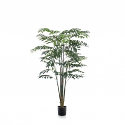 Декоративна рослина в горшку Bamboo palm 195cm