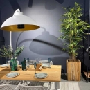 Декоративна рослина в горщику Bamboo 205cm