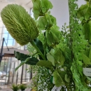 Декоративна гілочка Banksia spray green 65cm