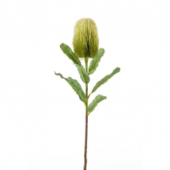Декоративная веточка Banksia spray green 65cm