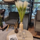 Декоративна трава Cortaderia 95cm cream