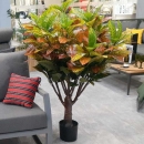 Декоративне дерево Croton tree 135cm
