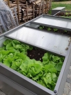 Підняті овочеві грядки VegetableBed 201x102x77 см