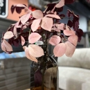Декоративна гілочка Schefflera purple 85cm