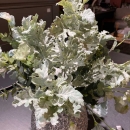 Декоративная гілочка Cineraria bush 42cm