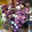 Декоративна квіточка Helleborus metallic lilac 68cm