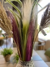 Декоративна трава Pampas grass cream 80cm