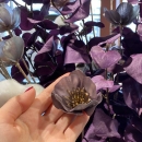 Декоративна квіточка Helleborus metallic lilac 68cm