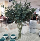 Декоративна гілочка Eucalyptus green/grey 75cm 