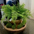 Декоративне каміння Moss stone green, 6 шт