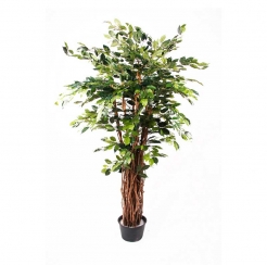 Декоративна рослина Ficus benjamina/deluxe 175cm