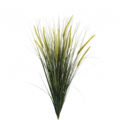 Декоративная трава Foxtail 90cm