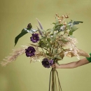 Декоративна трава Pampas grass cream 80cm
