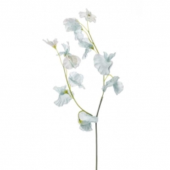 Декоративна квіточка Lathyrus 50cm mint
