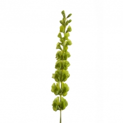 Декоративна гілочка Molucella 80cm green