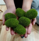 Декоративне каміння Moss stone green, 6 шт