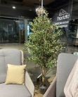 Декоративне дерево в горщику Olive pyramid 170cm