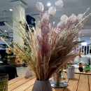 Декоративна трава Pampas grass cream 80cm