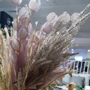 Декоративна трава Pampas grass cream 80cm