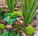 Декоративне каміння Moss stone green, 6 шт