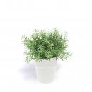 Декоративний кущик Rosemary 22cm