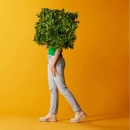 Декоративний мат Schefflera weather resistant/UV 50x50cm