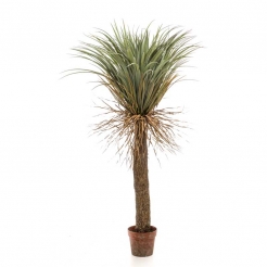 Декоративна рослина в горщику Yucca Wild 150cm